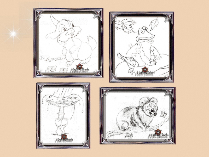 Slide 4 of Black and White Animals